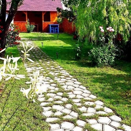 Casa Pavel Jurilovca Villa Luaran gambar