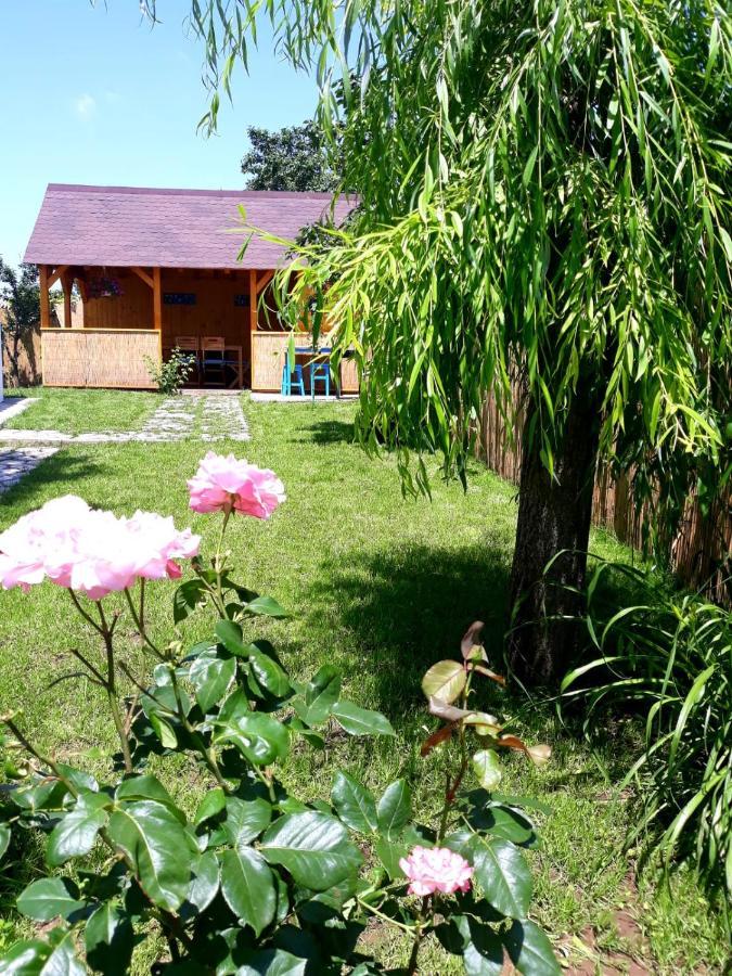 Casa Pavel Jurilovca Villa Luaran gambar