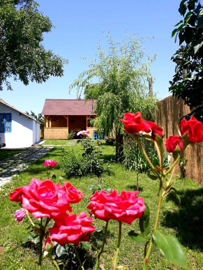 Casa Pavel Jurilovca Villa Luaran gambar