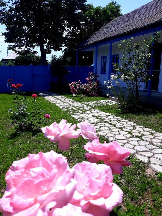 Casa Pavel Jurilovca Villa Luaran gambar