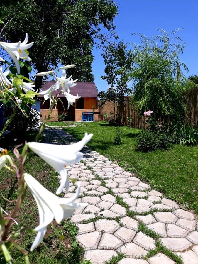 Casa Pavel Jurilovca Villa Luaran gambar